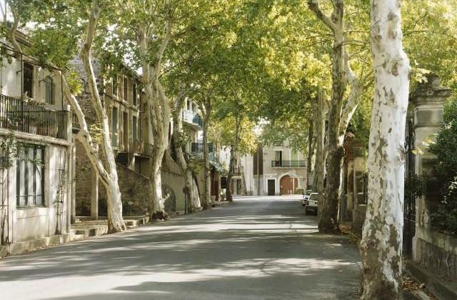 Servian, Occitanie. 2006