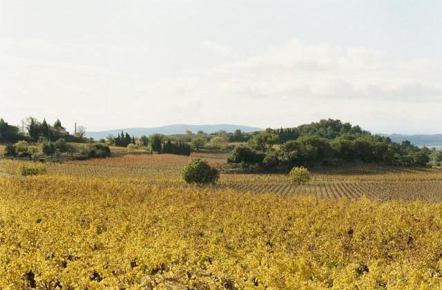 Minervois, Occitanie. 2006
