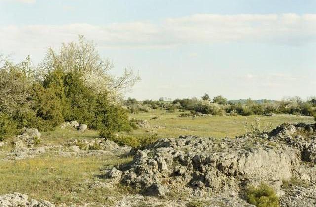 Plateau du Larzac, Occitanie. 2006