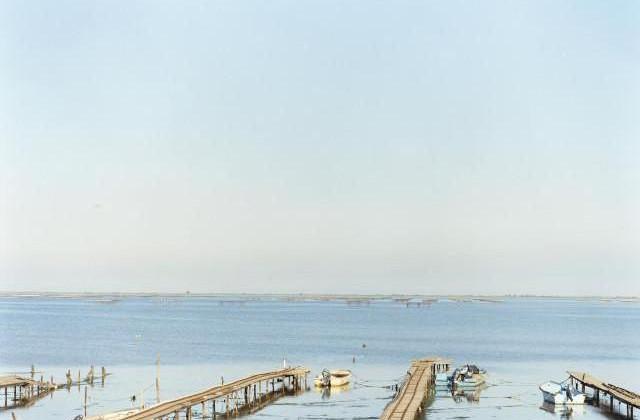 Étang de Thau, Occitanie. 2006