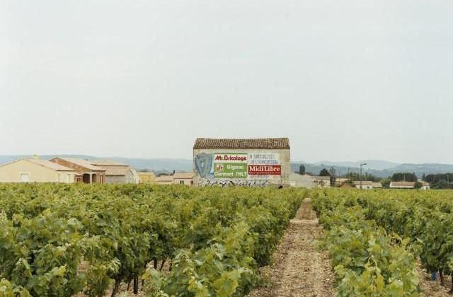 Saint-André de Sangonis, Occitanie. 2006