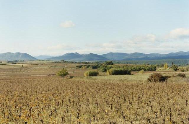 Environs de Murviel-les-Béziers, Occitanie. 2006