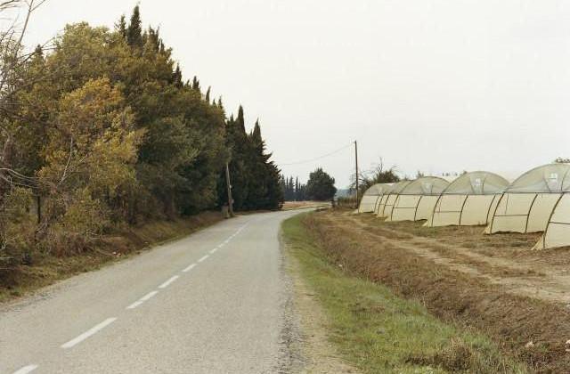 Candillargues, Occitanie. 2006