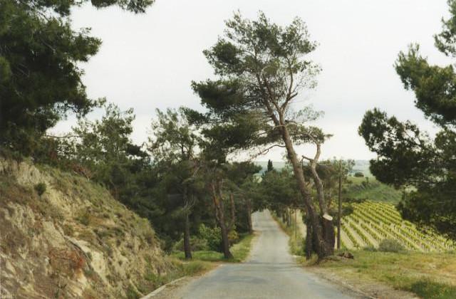 Route de l'Oppidum d'Ensérune, Occitanie. 2006