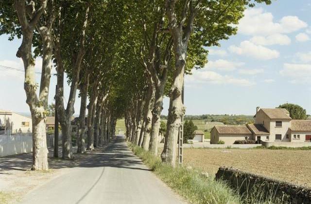 Lieuran-Cabrières, Occitanie. 2006