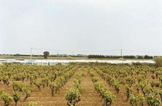 N112 Béziers/Vias, Occitanie. 2006