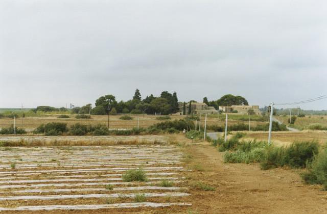 Campagne du bassin de Thau, Occitanie. 2006